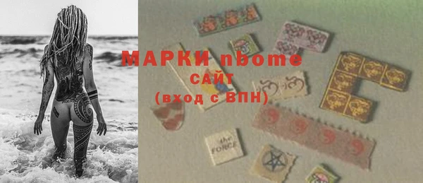 хмурый Белокуриха