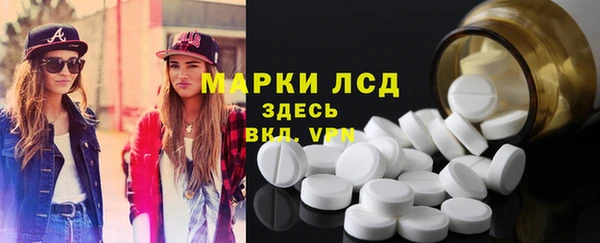 хмурый Белокуриха