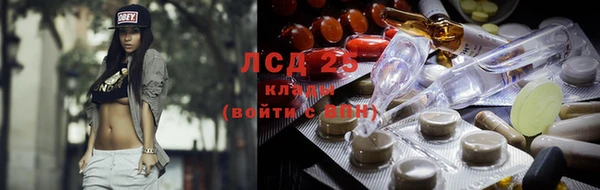 хмурый Белокуриха
