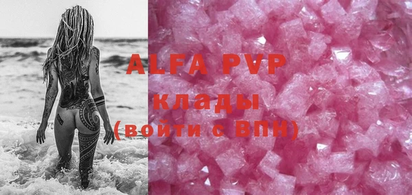 хмурый Белокуриха