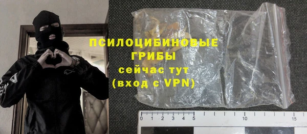 хмурый Белокуриха