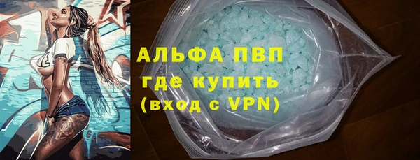 хмурый Белокуриха