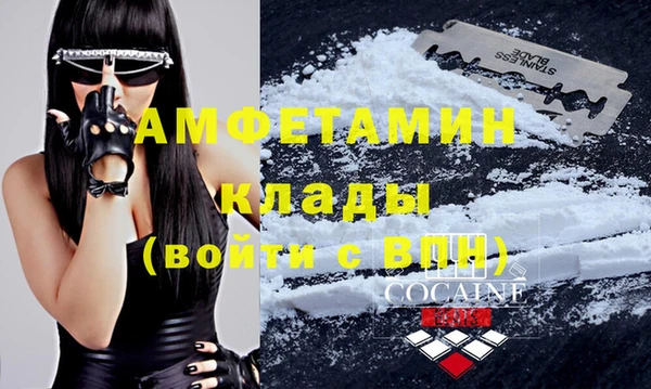 хмурый Белокуриха