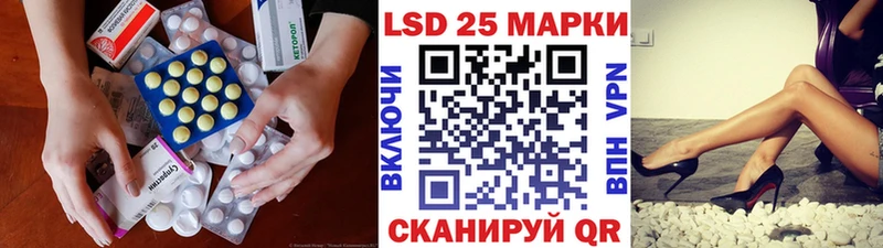 где найти наркотики  Волосово  ЛСД экстази ecstasy 