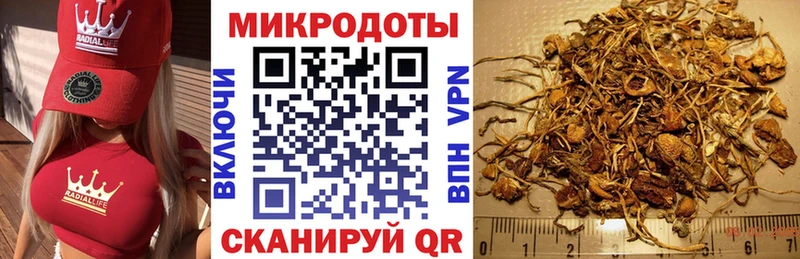 купить закладку  Волосово  KRAKEN сайт  Псилоцибиновые грибы мицелий 