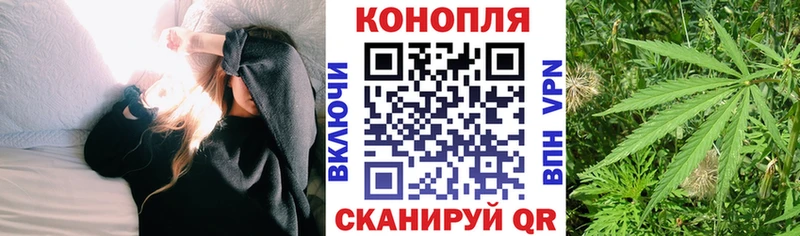 где продают наркотики  Волосово  Марихуана SATIVA & INDICA 